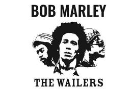 Bob Marley Vinyl Records
