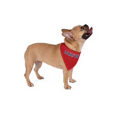 Load image into Gallery viewer, Bahston Dog Bandana