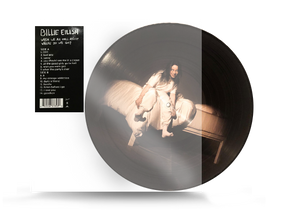 Billie Eilish - When We Fall Asleep, Where Do We Go? Picture Disc Vinyl (602508378539)