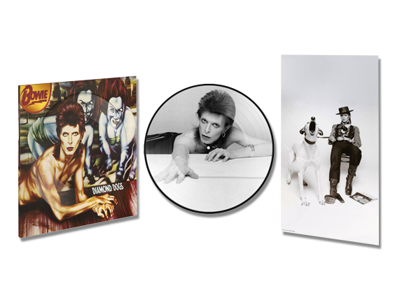 David Bowie - Diamond Dogs (50th Anniversary) Picture Disc Vinyl (5054197816413)