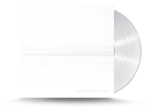 Foo Fighters - But Here We Are Vinyl LP (19658817831)