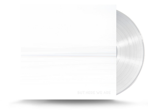Foo Fighters - But Here We Are Vinyl LP (19658817831)