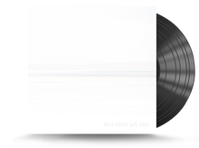 Load image into Gallery viewer, Foo Fighters - But Here We Are Vinyl LP (196588178412)