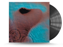 Load image into Gallery viewer, Pink Floyd - Meddle Vinyl LP (888751842311)