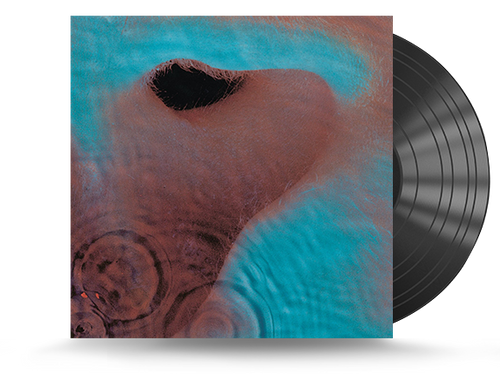 Pink Floyd - Meddle Vinyl LP (888751842311)