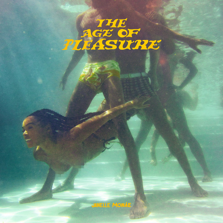 Janelle Monáe - The Age of Pleasure Vinyl LP (075678626838)