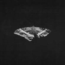 Load image into Gallery viewer, Kendrick Lamar - To Pimp A Butterfly (10 Year Anniversary Edition) - Alternate Artwork (Black marble Vinyl) [2 LP] Vinyl