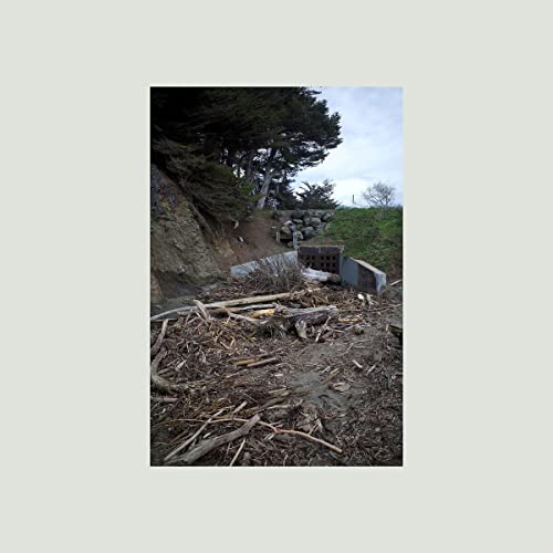 Mac Demarco - Five Easy Hot Dogs [LP] Vinyl