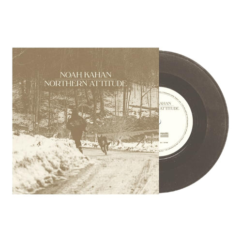 Noah Kahan - Northern Attitude (Black Ice Colored Vinyl with Poster) (7