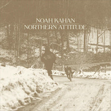 Load image into Gallery viewer, Noah Kahan - Northern Attitude (Black Ice Colored Vinyl with Poster) (7&quot; Single) [Import] Vinyl