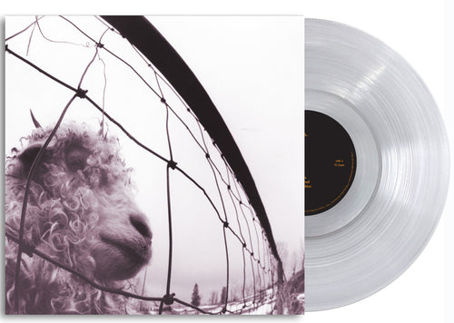 Pearl Jam - Vs. (Clear Vinyl) Vinyl