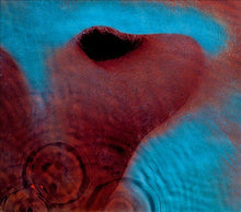 Load image into Gallery viewer, Pink Floyd - Meddle Vinyl LP (888751842311)