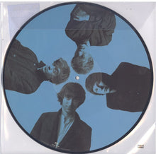 Load image into Gallery viewer, R.E.M. - Chronic Town Picture Disc Vinyl (602445736430)