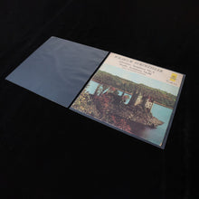Load image into Gallery viewer, Vinyl Styl - Vinyl Styl® 12 Inch Record Outer Sleeve Polyethylene - 1000 Count Bulk (Clear) (Large Item, Ships in Own Container) Sleeves
