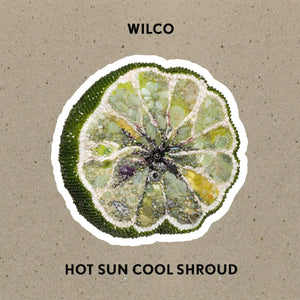 Wilco - Hot Sun Cool Shroud Vinyl LP (051497439569)