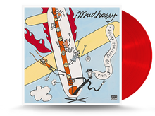 Load image into Gallery viewer, Mudhoney - Every Good Boy Deserves Fudge Vinyl LP