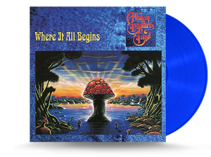 Allman Brothers Band - Where It All Begin Vinyl LP (MOVLP1517)