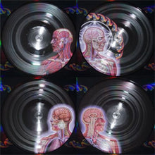 Load image into Gallery viewer, Tool - Lateralus Vinyl LP (61422311601LP)