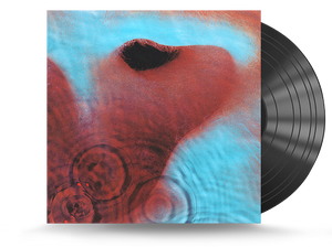 Pink Floyd - Meddle Vinyl LP (PFRLP6)