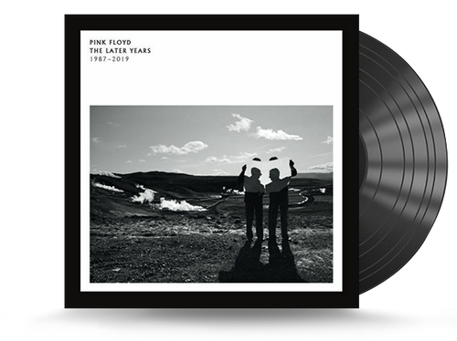 Pink Floyd The Later Years Vinyl LP